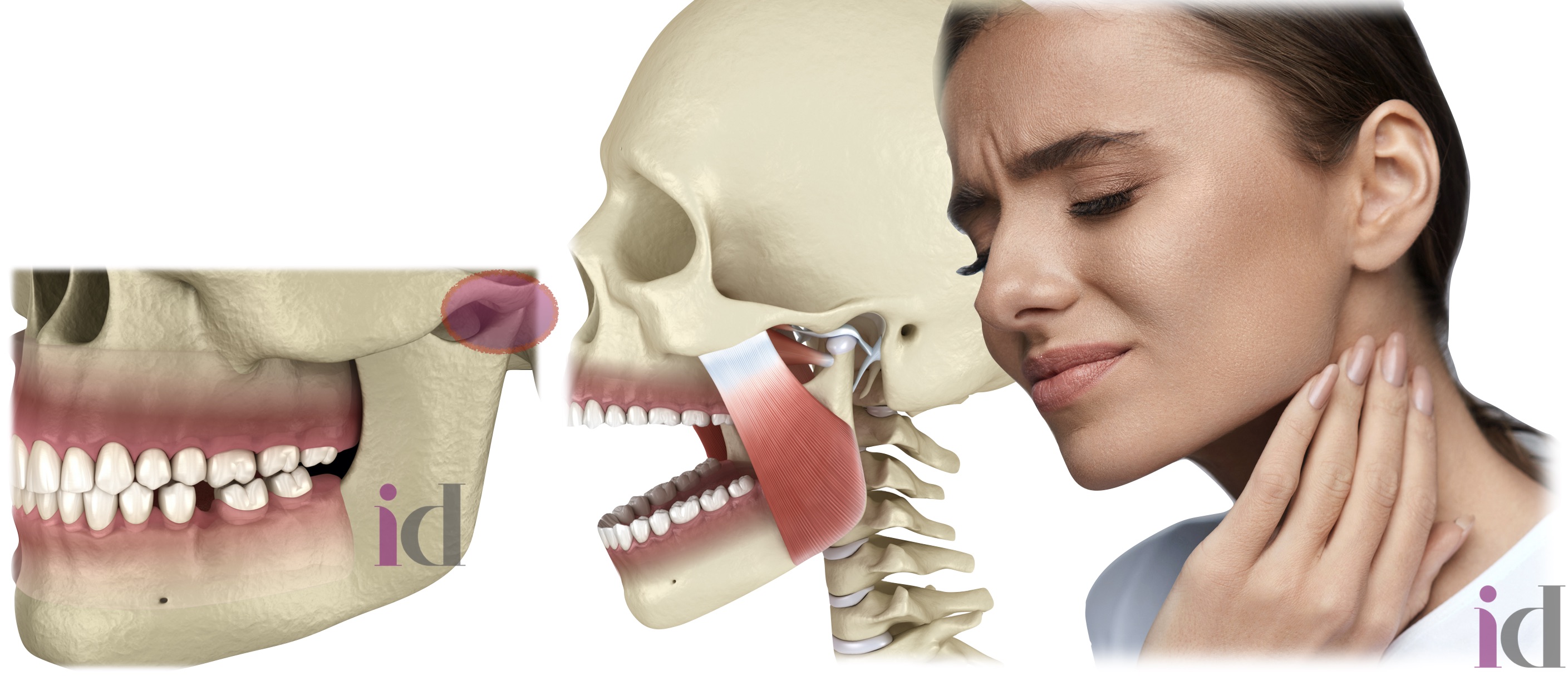 gnatologia blocco 1
